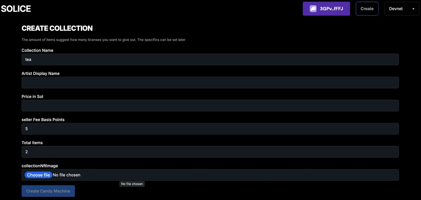 Solice screenshot